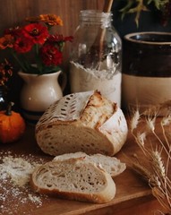Dehydrated Sourdough Starter 1810 Boudin’s San Francisco 15 Gram Bag