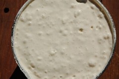 SOURDOUGH STARTER yeast San Francisco BEAST baking supplies bake @ d