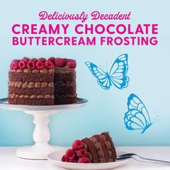 Duncan Hines Dolly Parton Chocolate Buttercream Cake Frosting–Rich & Creamy–16oz