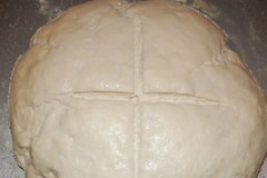 live SOURDOUGH STARTER SOURDOUGH San Francisco BEAST+ RECIPES fresh d