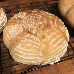 HERITAGE ORGANIC SAN FRANCISCO SOURDOUGH STARTER YEAST SOUR – 15 GRAM BAG