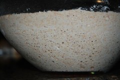 sourdough pizza starter yeast, from san francisco, sally @