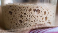 fresh sourdough starter from the wharf in san francisco @fresh