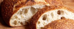 sourdough starter, you cant handle this one.THE BEAST.10 starters in 1 mix@d