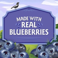 Birch Benders Quick Bread & MUFFIN Mix Organic Blueberry Real Blueberries 2 Pack