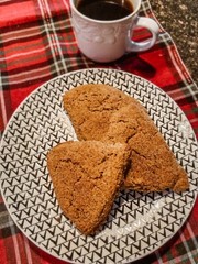 SPROUTED Organic Einkorn Scone and Biscuit Mix by Granite Mill Farms