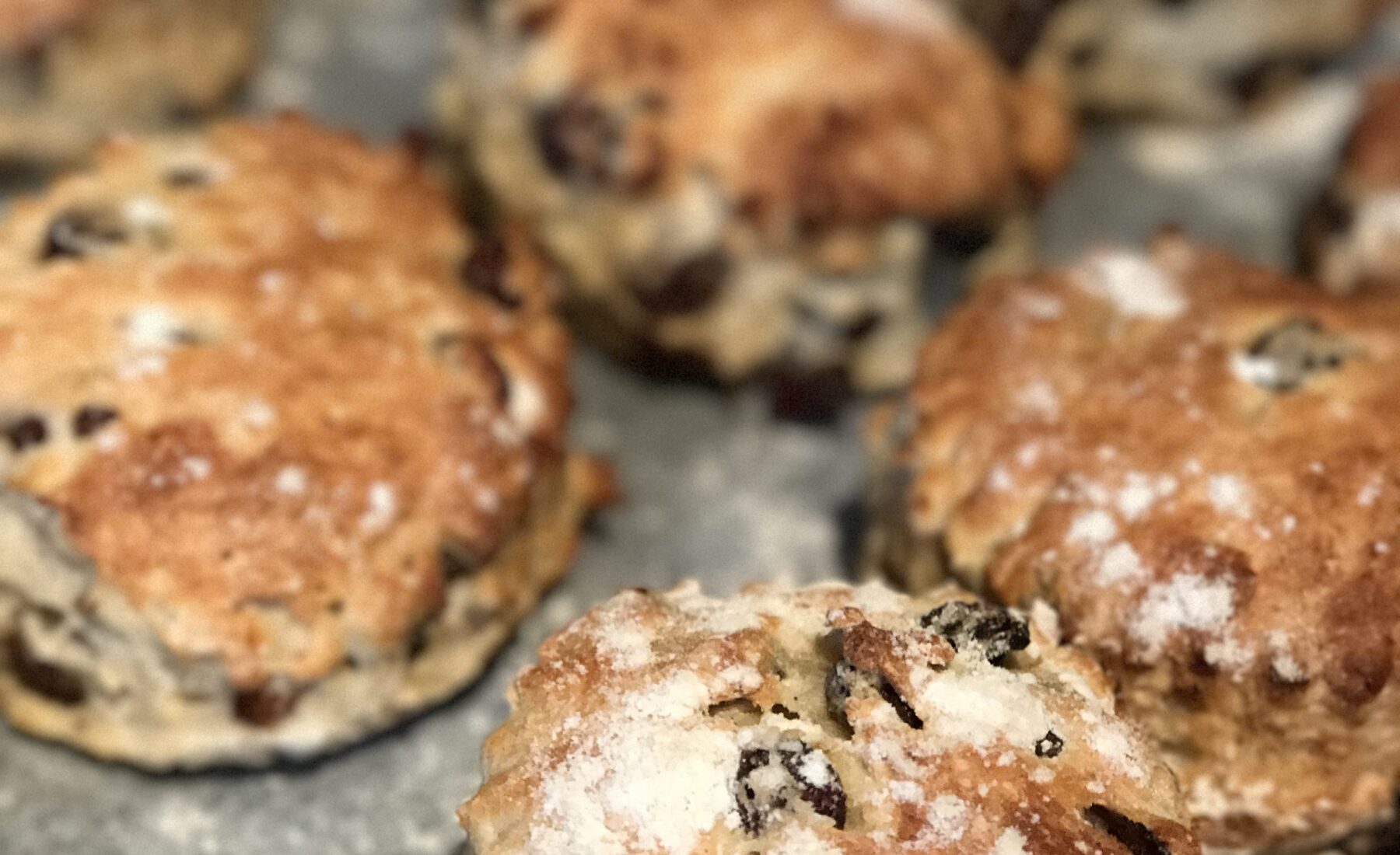 Raisin scones