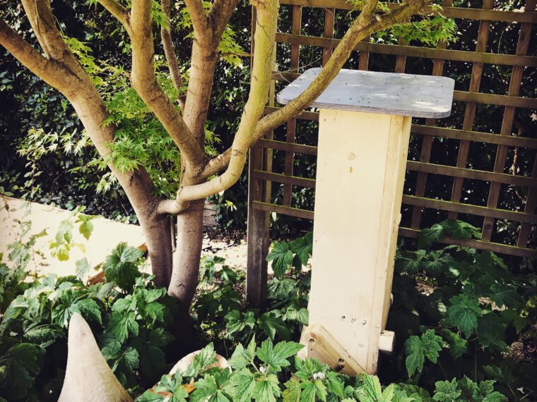 Beehive in its new home