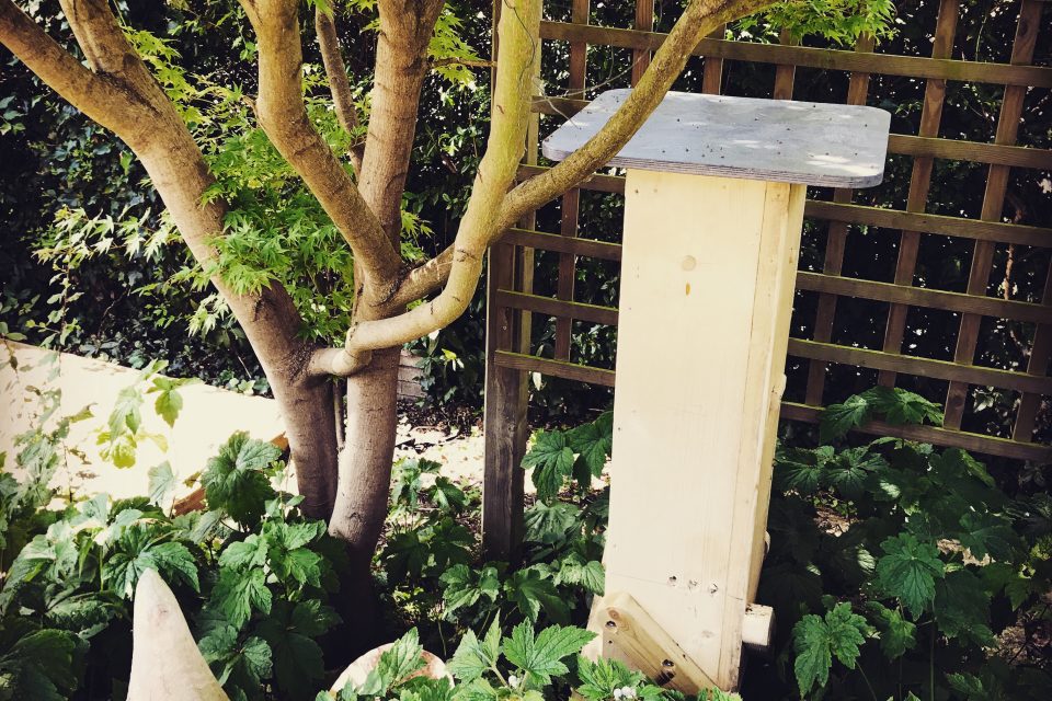 Beehive in its new home